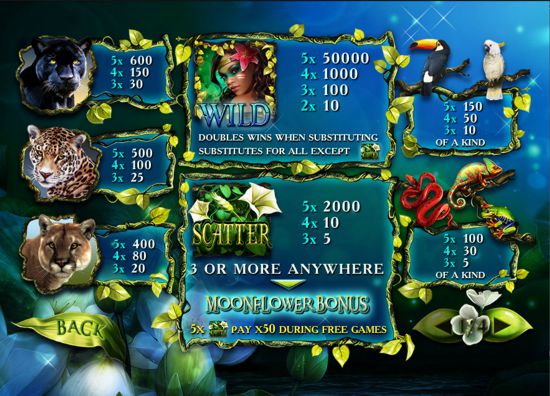 Secrets of the Amazon Payout Table and Betting Information