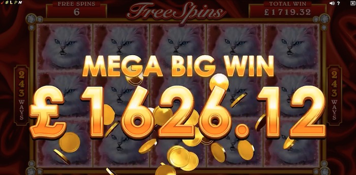 The Pretty Kitty Slot features a Mega Big Win Streak