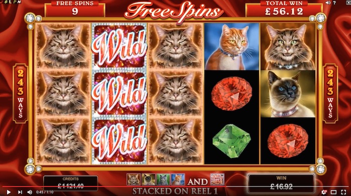 Pretty Kitty Slot